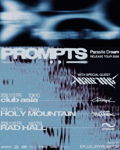 PROMPTS