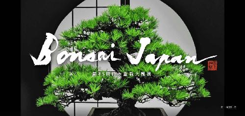 第45届日本盆栽大观展 观看展示观赏券