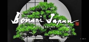 The 45th Nihon Bonsai Taikanten Admission Ticket