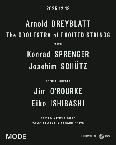 Arnold Dreyblatt & The Orchestra of Excited Strings