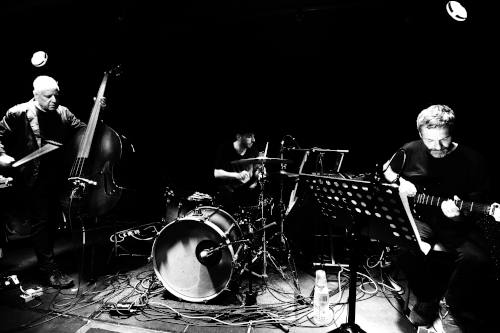 Arnold Dreyblatt & The Orchestra of Excited Strings