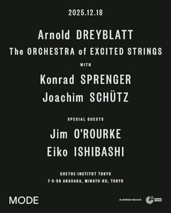 Arnold Dreyblatt & The Orchestra of Excited Strings